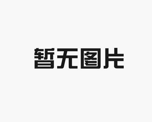 廣東膠盒廠(chǎng)家：創(chuàng)新與品質(zhì)的典范